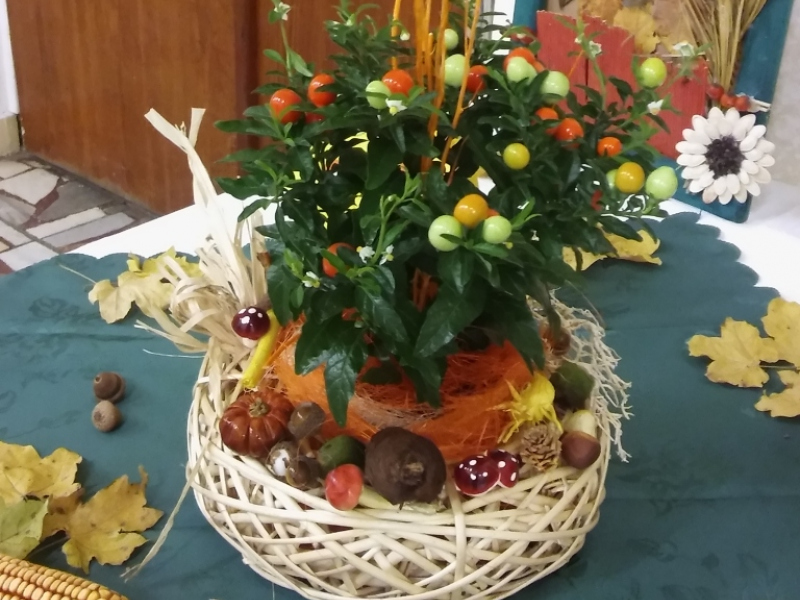 2015/ Őszi kiállítás - Jesenná výstava