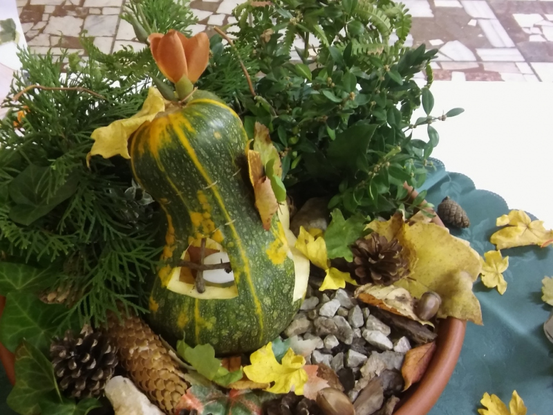 2015/ Őszi kiállítás - Jesenná výstava