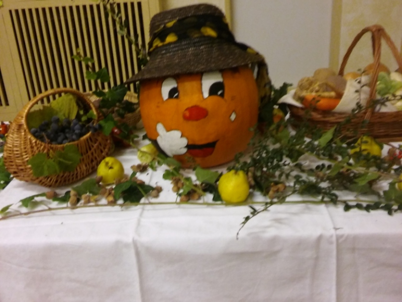 2015/ Őszi kiállítás - Jesenná výstava