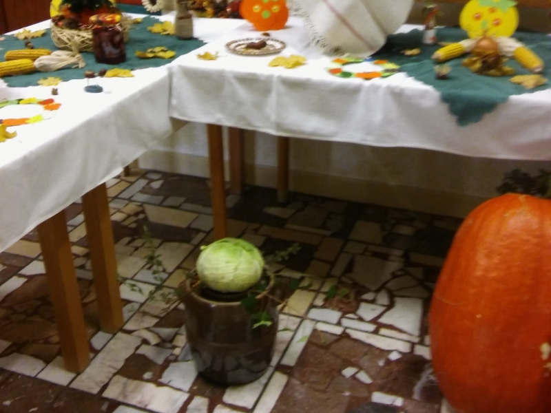 2015/ Őszi kiállítás - Jesenná výstava