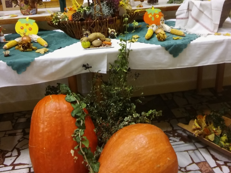 2015/ Őszi kiállítás - Jesenná výstava