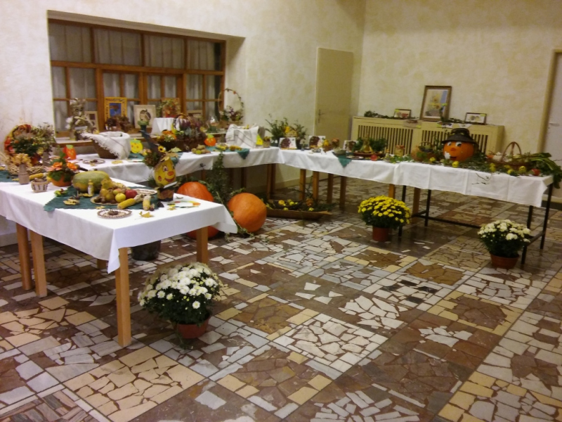 2015/ Őszi kiállítás - Jesenná výstava