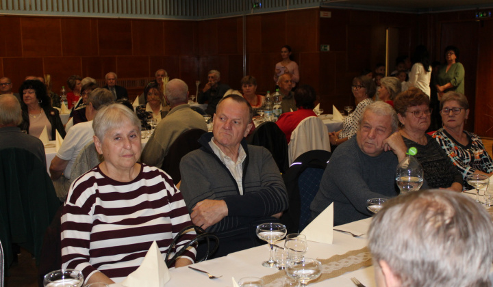 11. fotografia fotogalérie nový objekt