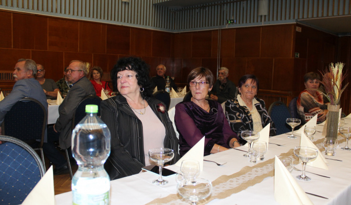 20. fotografia fotogalérie nový objekt