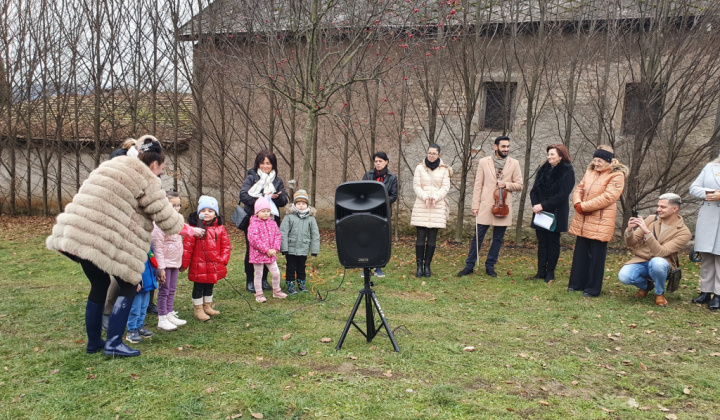 10. fotografia fotogalérie Aktuality / Advent 2025