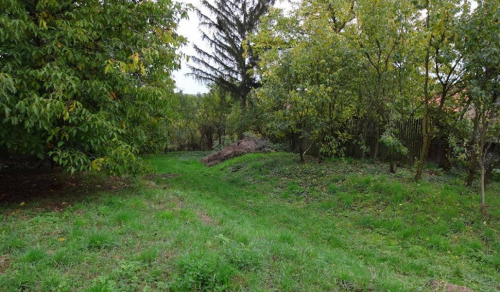 3. fotografia fotogalérie Projekty / Oddychová zóna v centre obce