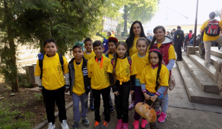 8. fotografia fotogalérie 2017/ XII. EnviroDay