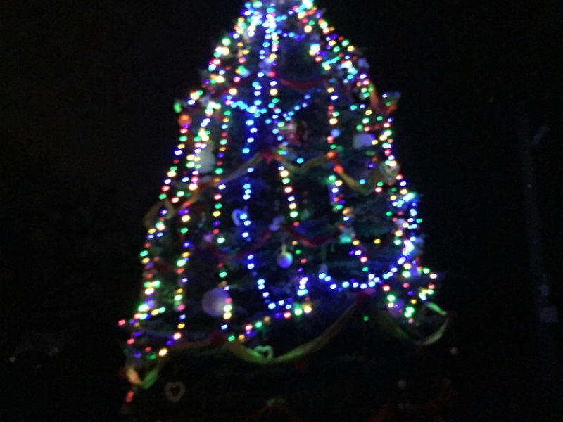 2015/ 2. Horkai Káposztalé - 2. Kapustnica Horkai