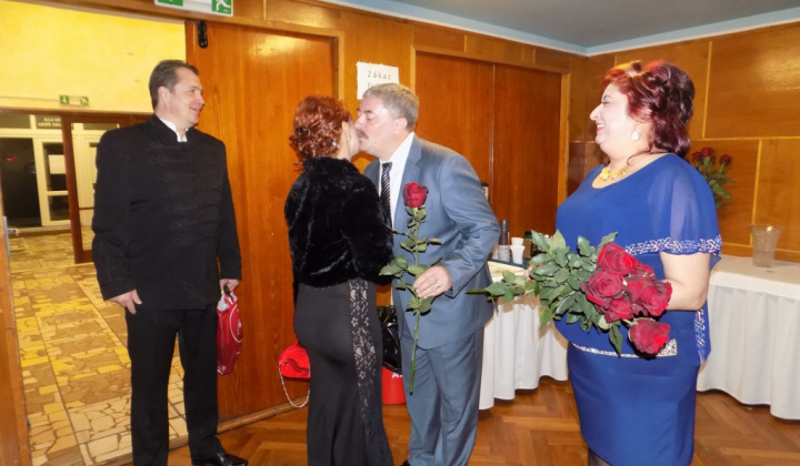 22. fotografia fotogalérie 2017/ XI. Ples Mikroregiónu