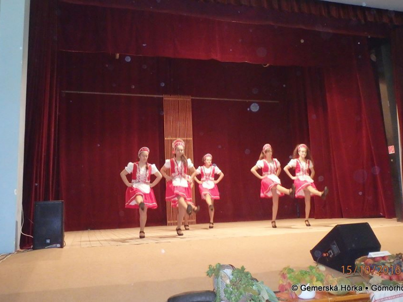 2016/ Idősek Napja - Deň dôchodcov