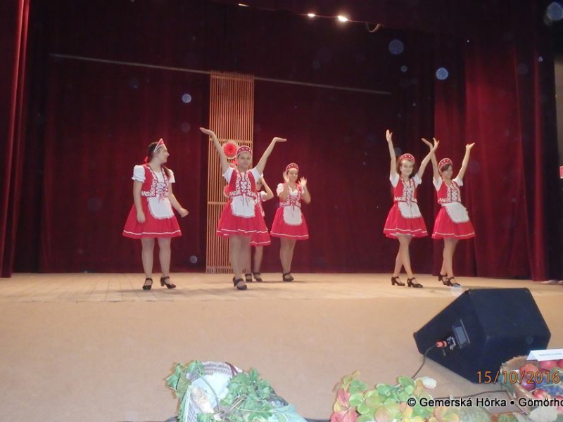 2016/ Idősek Napja - Deň dôchodcov