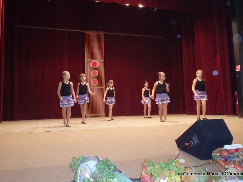 2016/ Idősek Napja - Deň dôchodcov