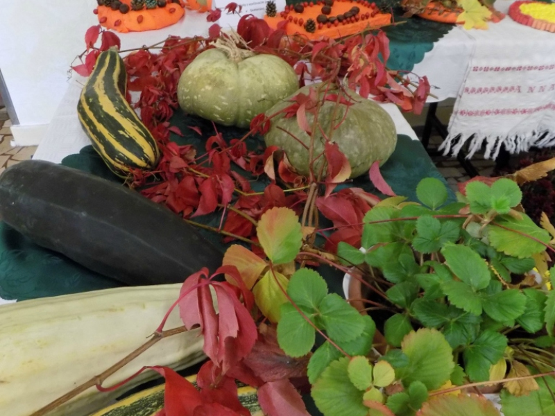 2016/ Őszi kiállítás - Jesenná výstava