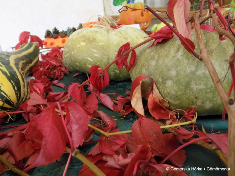 2016/ Őszi kiállítás - Jesenná výstava