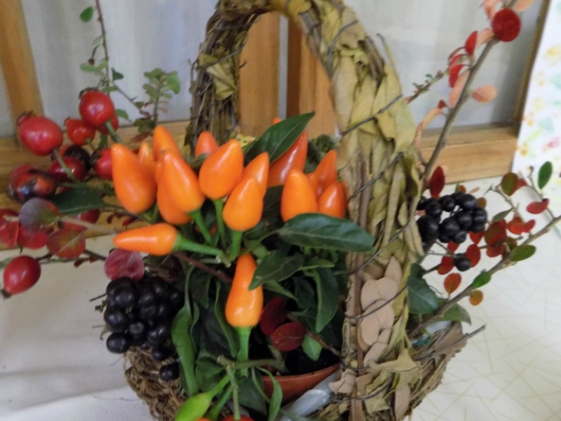 2016/ Őszi kiállítás - Jesenná výstava