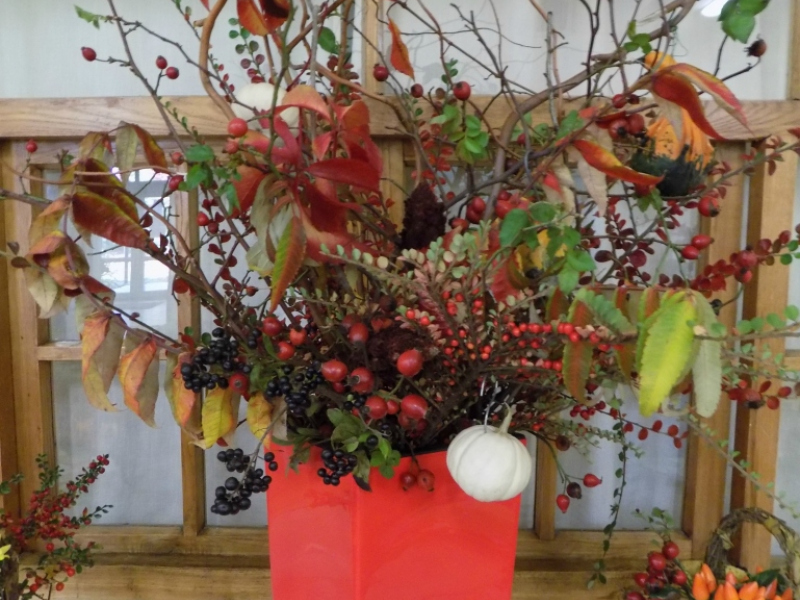 2016/ Őszi kiállítás - Jesenná výstava