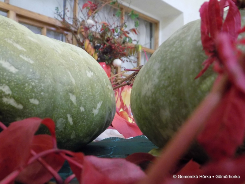 2016/ Őszi kiállítás - Jesenná výstava