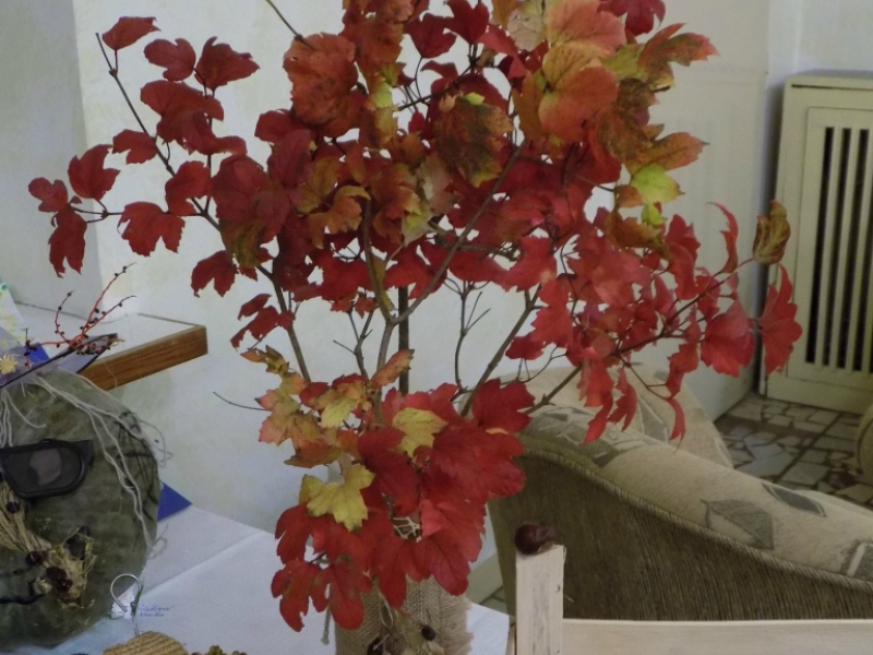 2016/ Őszi kiállítás - Jesenná výstava