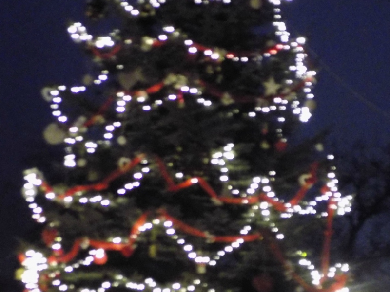 2016/ 3. Kapustnica HORKAI Káposztalé