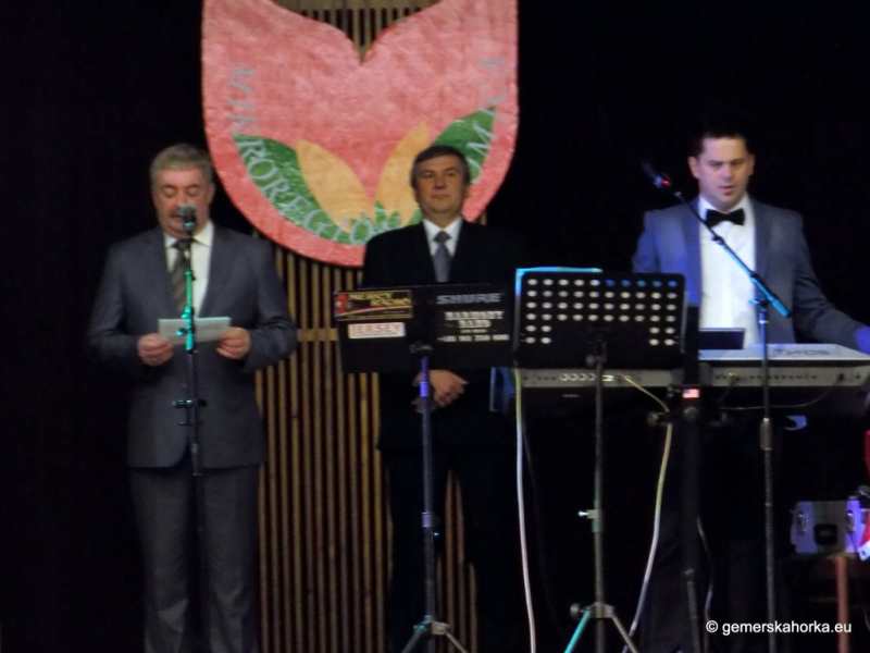 2017/ Domica Mikrorégió Bálja - Ples Mikroregiónu Domica