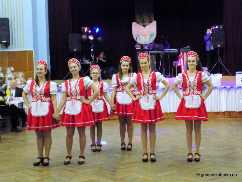 2017/ Domica Mikrorégió Bálja - Ples Mikroregiónu Domica