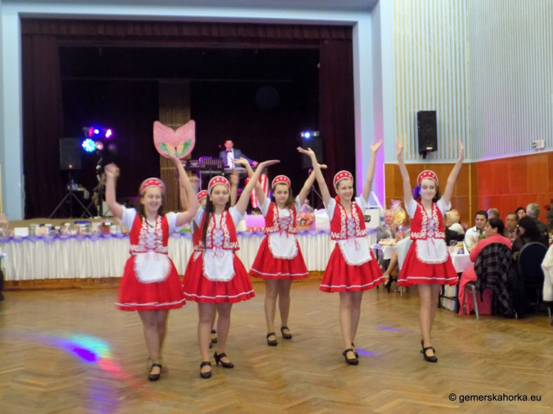 2017/ Domica Mikrorégió Bálja - Ples Mikroregiónu Domica