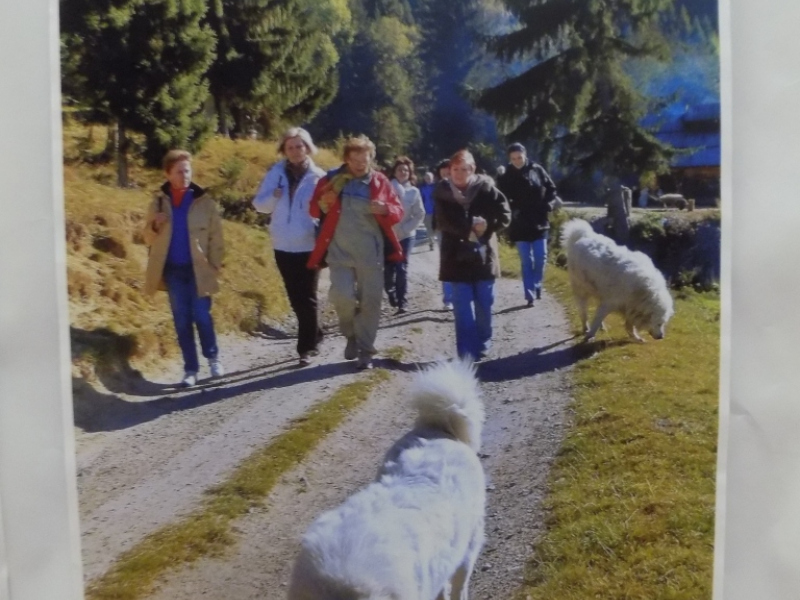 2017/ Március - a könyv hónapja / Marec - mesiac knihy