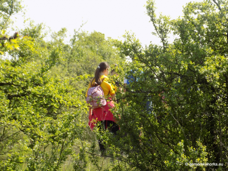 2017/ EnviroDay - Mikroregión Domica