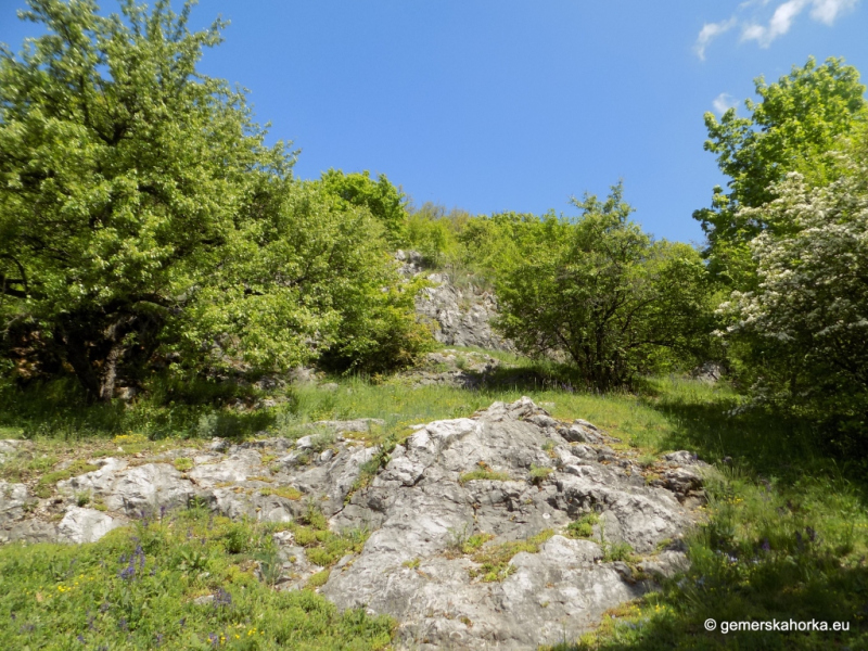 2017/ EnviroDay - Mikroregión Domica