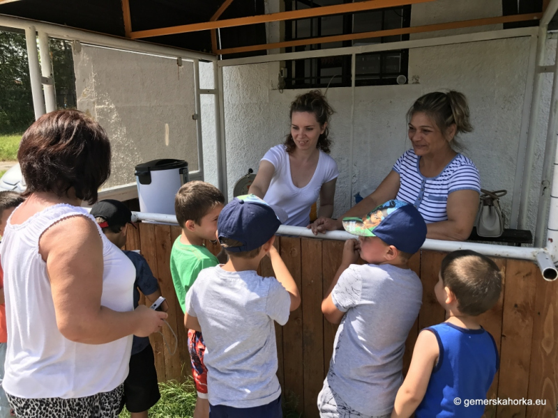 2017/ Sportnap - Športový deň