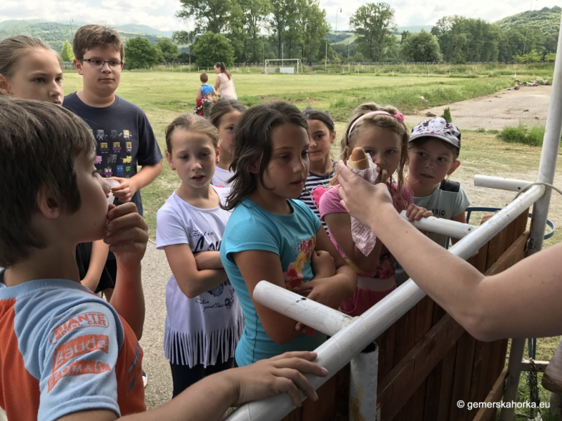 2017/ Sportnap - Športový deň