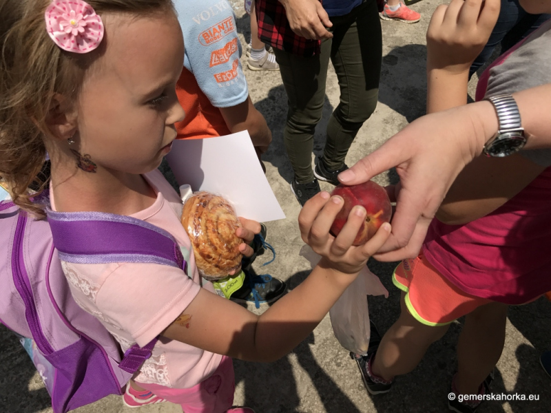 2017/ Sportnap - Športový deň