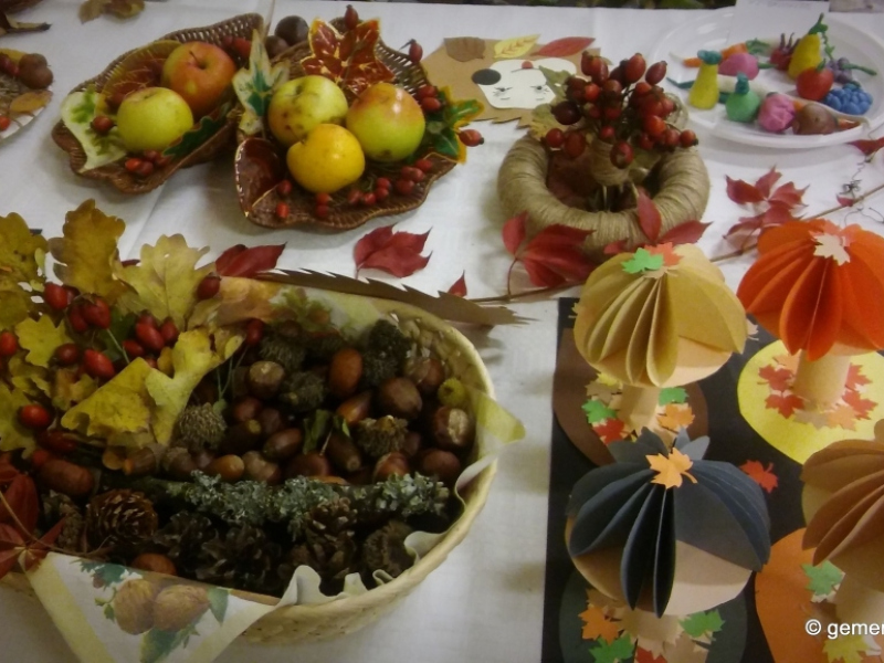 2017/ Őszi kiállítás - Jesenná výstava