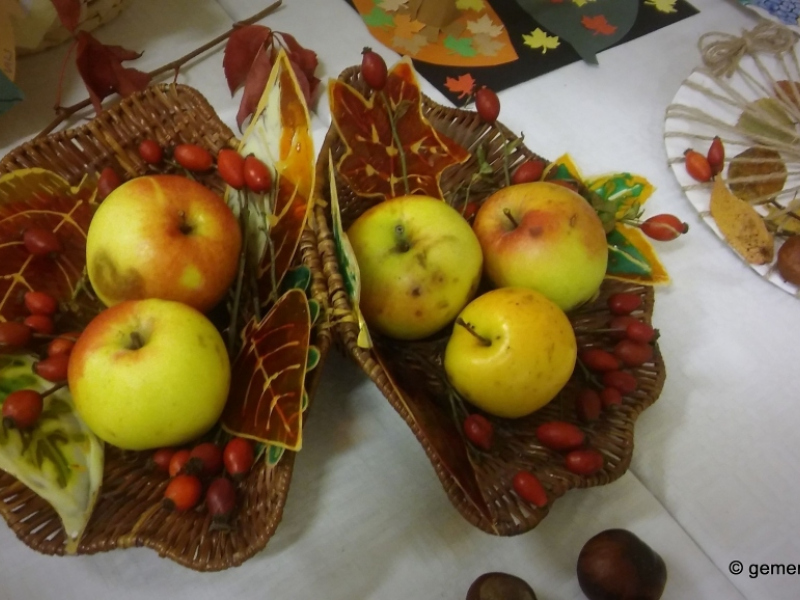 2017/ Őszi kiállítás - Jesenná výstava