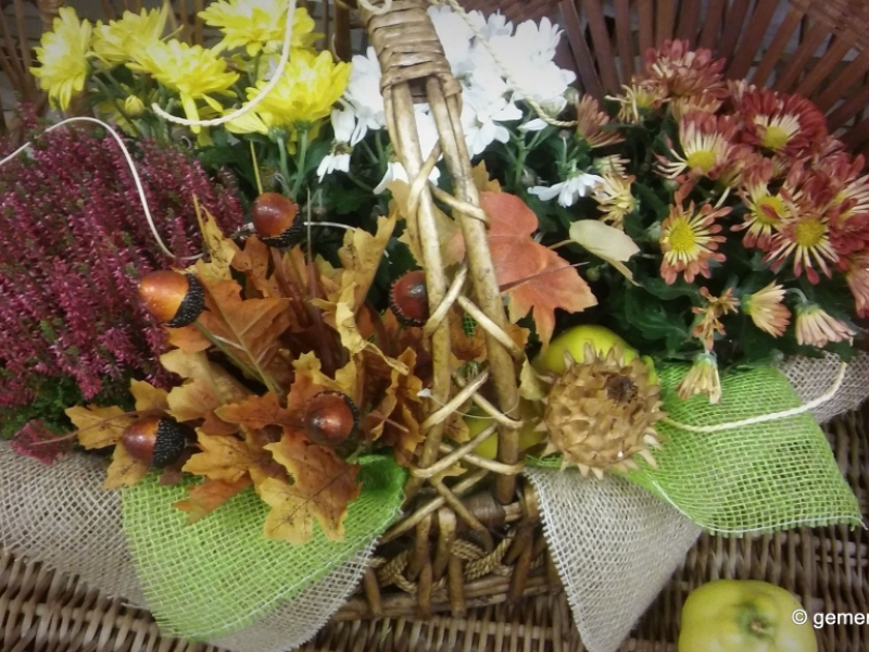 2017/ Őszi kiállítás - Jesenná výstava