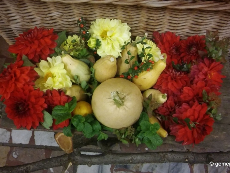 2017/ Őszi kiállítás - Jesenná výstava