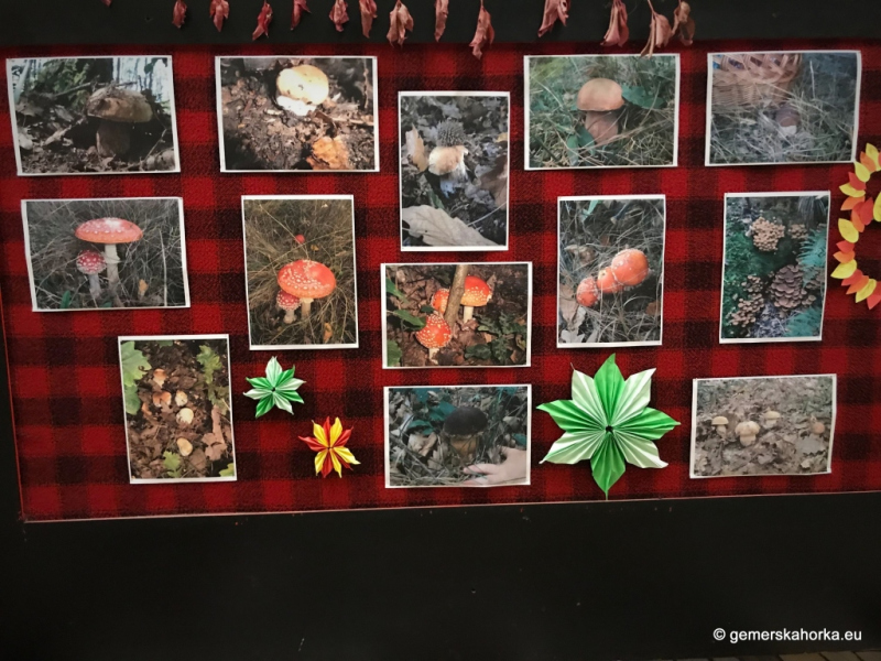 2017/ Őszi kiállítás - Jesenná výstava