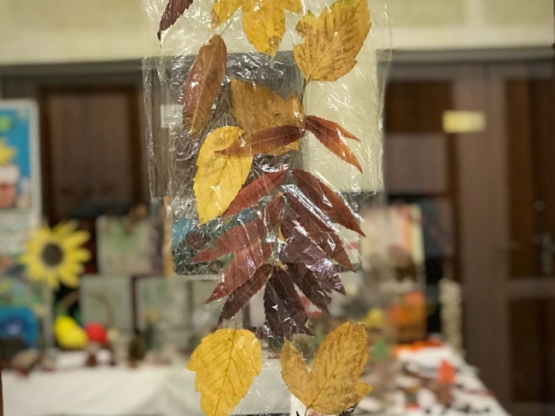 2017/ Őszi kiállítás - Jesenná výstava