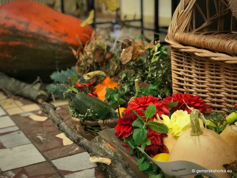 2017/ Őszi kiállítás - Jesenná výstava