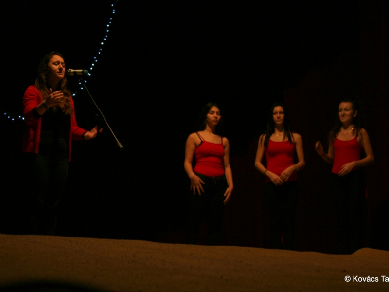 2017/ Napsugár / Karácsonyi esztrád - Vianočná estráda