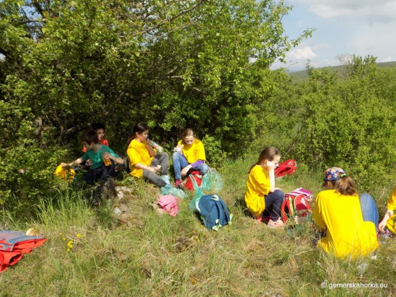 2017/ XII. EnviroDay