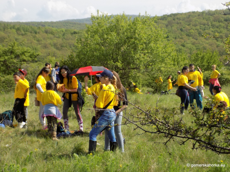 2017/ XII. EnviroDay