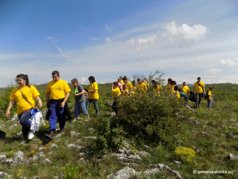 2017/ XII. EnviroDay