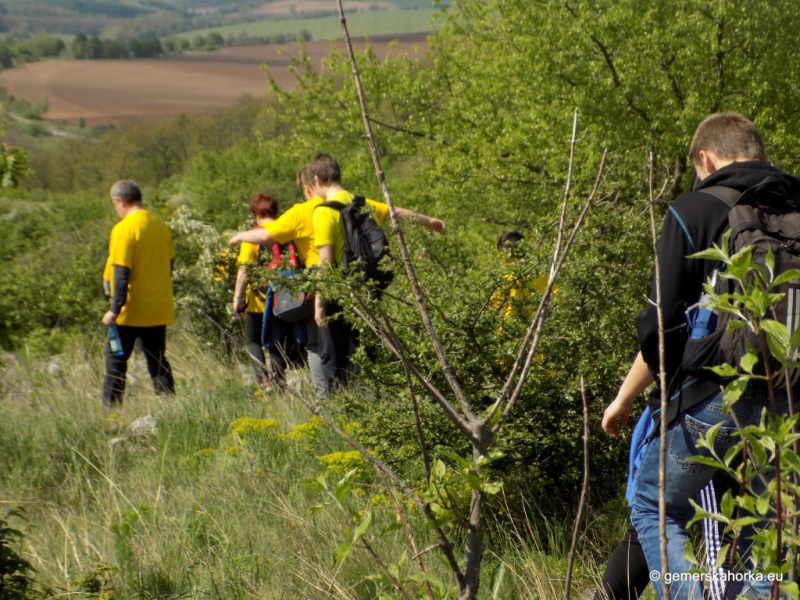 2017/ XII. EnviroDay