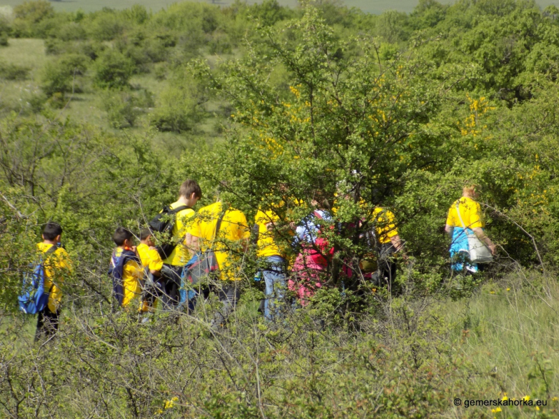 2017/ XII. EnviroDay