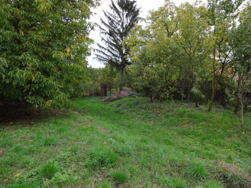 Projekty / Oddychová zóna v centre obce