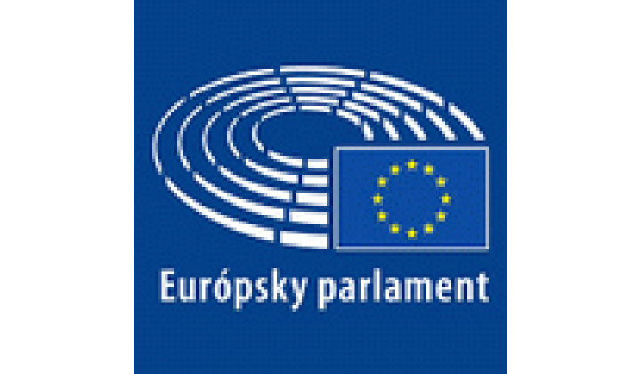 Fotka - Voľby do EP 2024