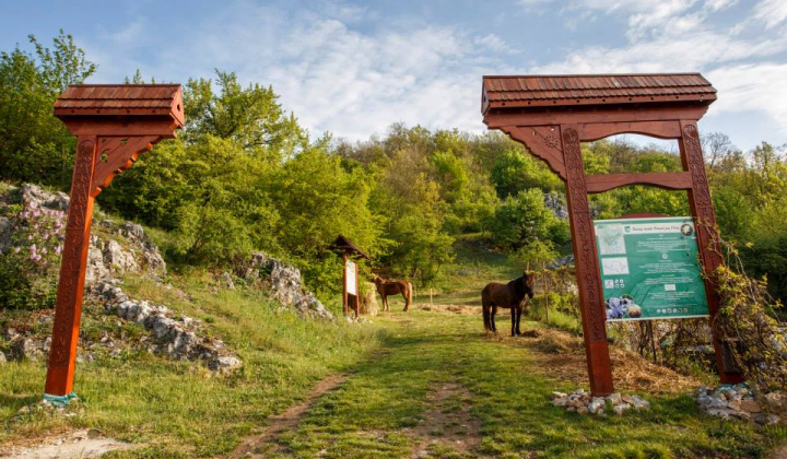 Fotka - Náučný chodník ''Krasové javy Hôrky''